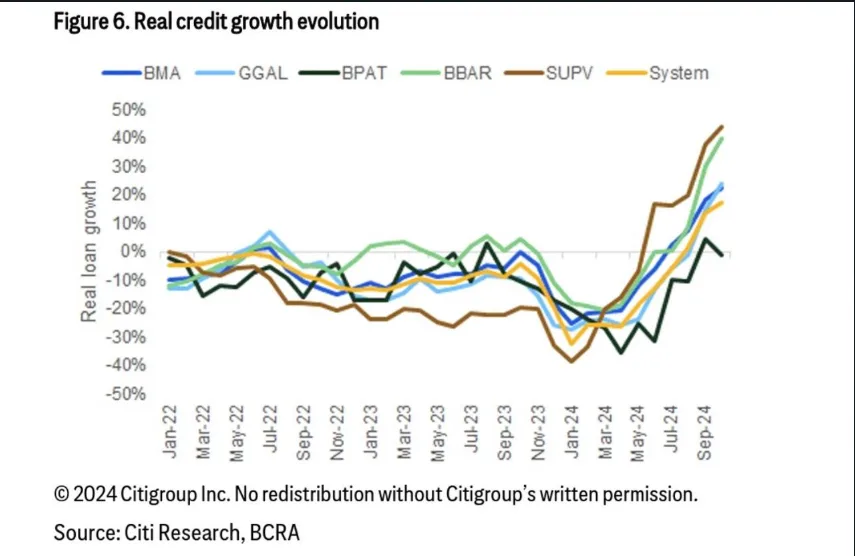 Resumen de Mercados 2024 2 Real credit grow evolution 2024