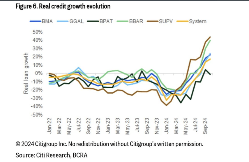 Real credit grow evolution 2024